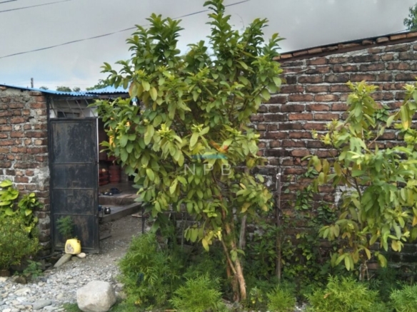 Land for sale in Itahari near NEA office, Koshi( Not Real, Just For Sample)